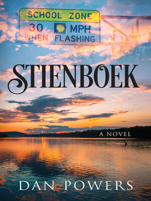 cover image of Stienboek